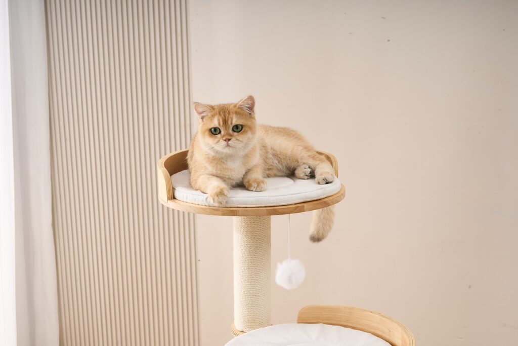 M01 Cat Tree, original product view 4