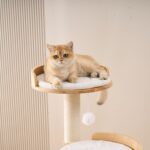 M01 Cat Tree, original product view 4