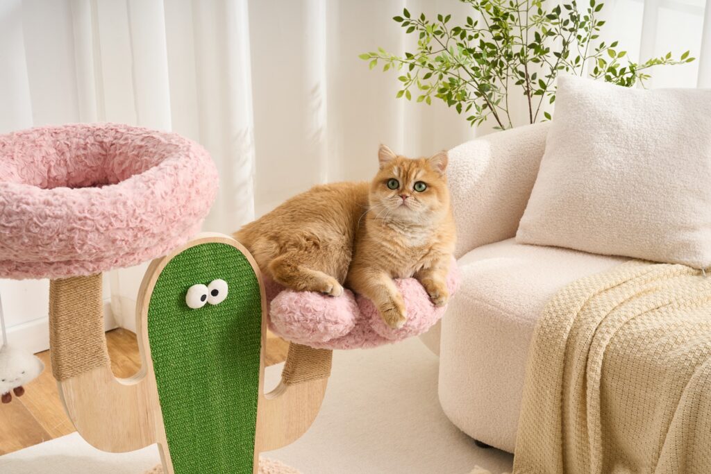 Cactus Cat Tree, original product view 3