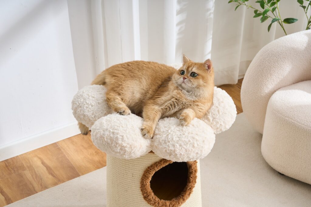 Daisy Cat Condo, original product view 3
