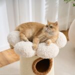 Daisy Cat Condo, original product view 3