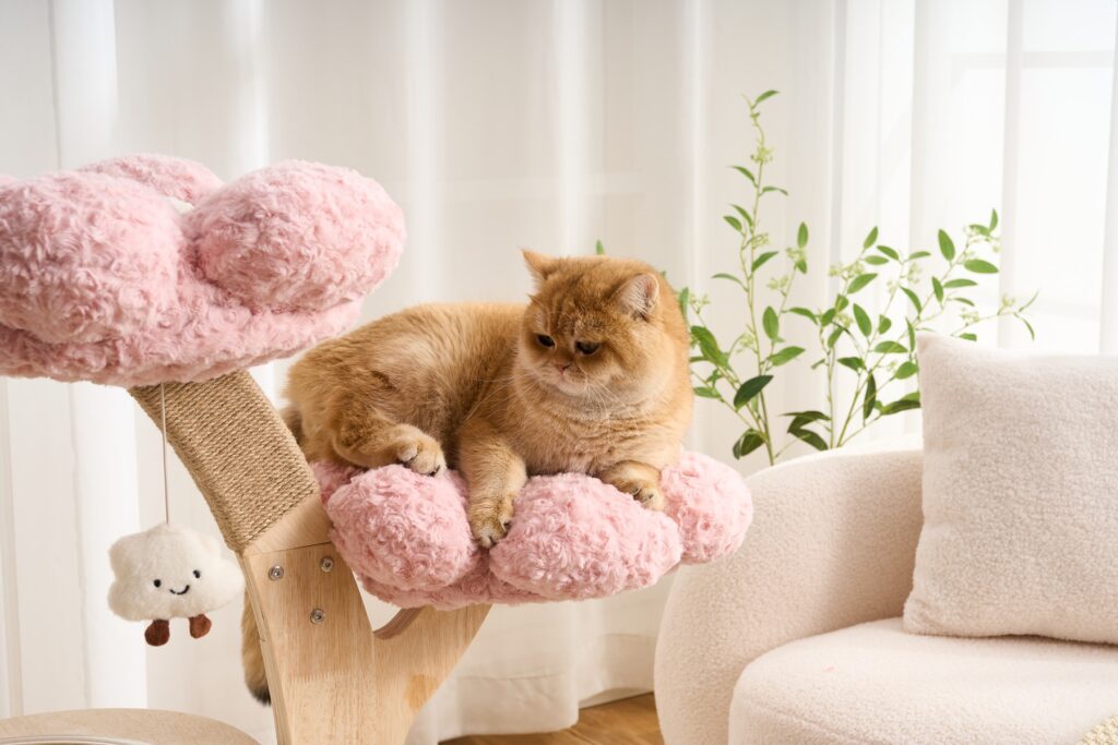 Flower Cat Tree with Bubble Perch, original product view 4