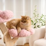 Flower Cat Tree with Bubble Perch, original product view 4