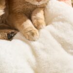 Orange Flower Cat Tree, original product view 3