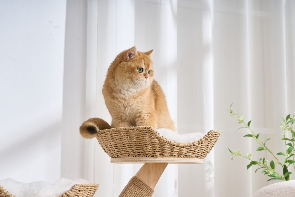 Woven Cat Tree, original product view 3