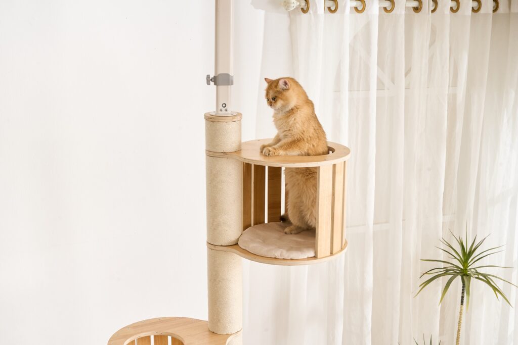 Floor-to-Ceiling Cat Tree, original product view 2