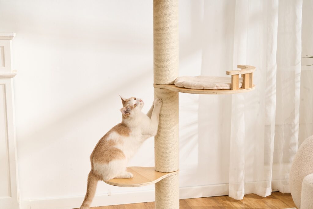 Floor-to-Ceiling Cat Tree, original product view 4