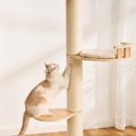 Floor-to-Ceiling Cat Tree, original product view 4