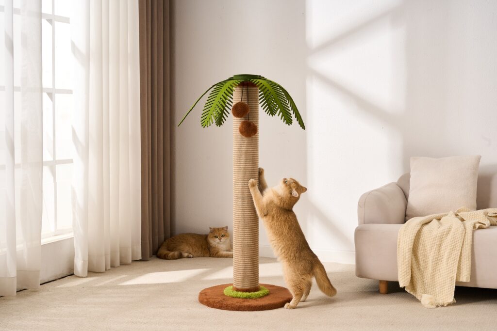 Palm Scratching Post, original product view 2